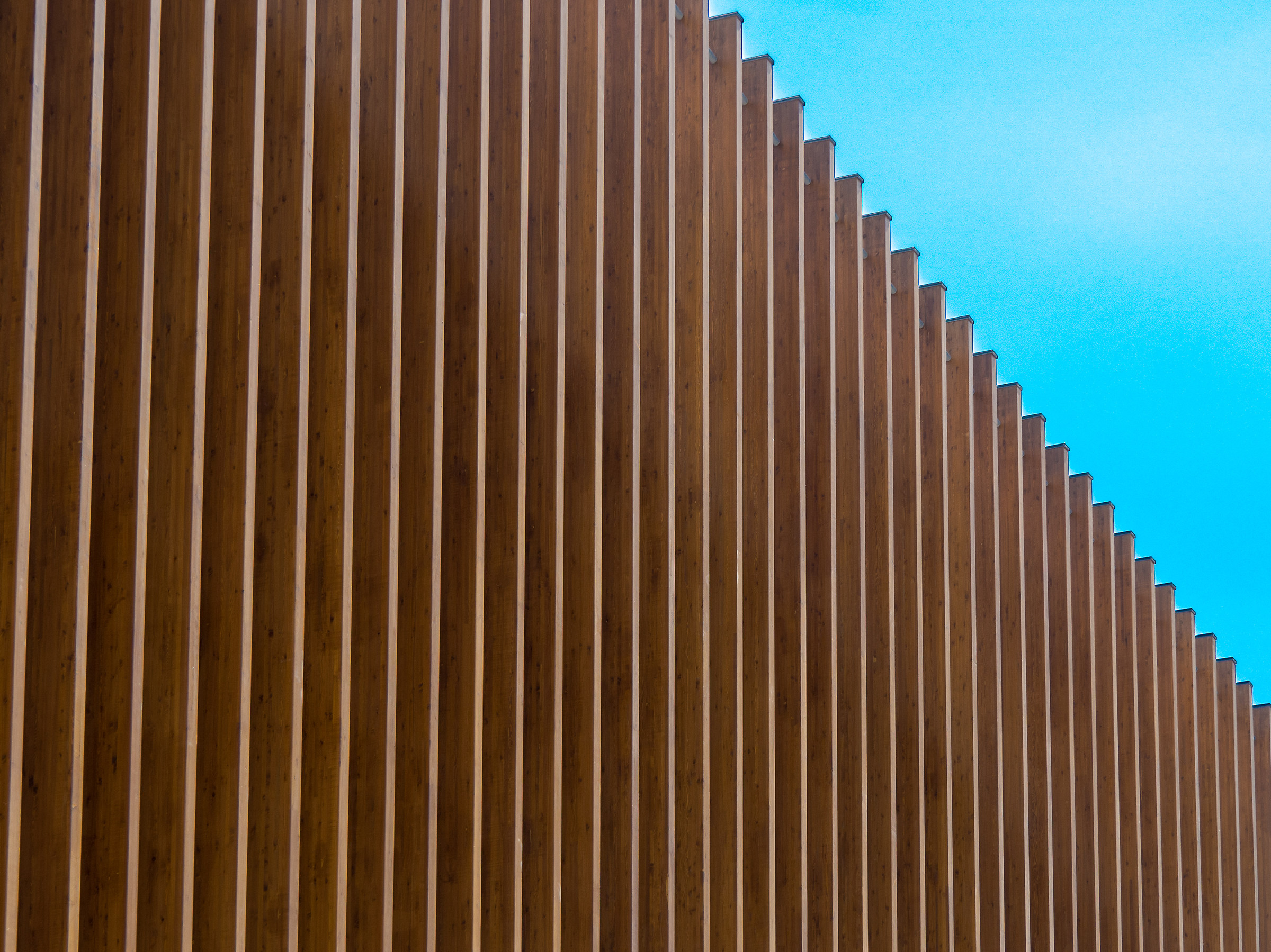 The palisade of archistar