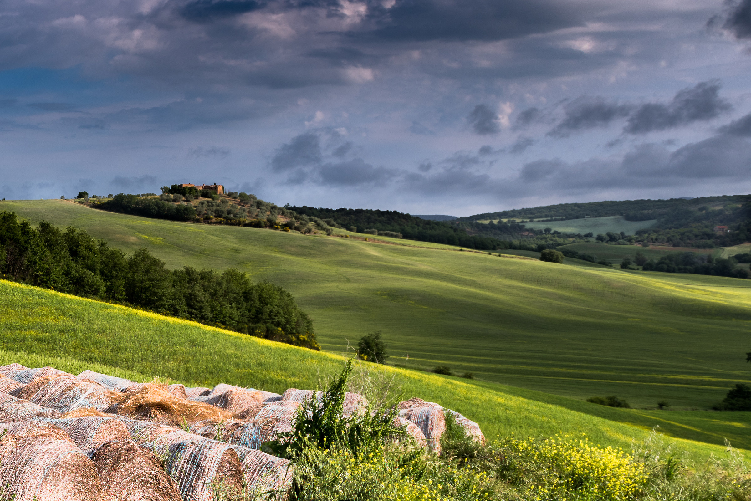 la campagna di Pienza