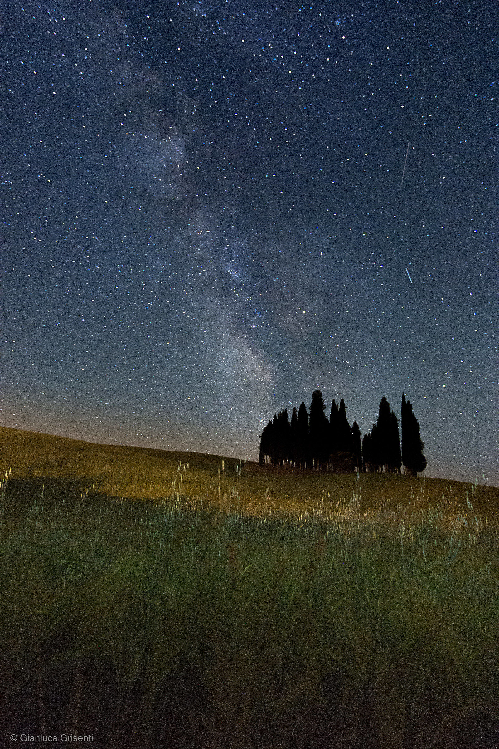 Milky Way sopra i cipressi