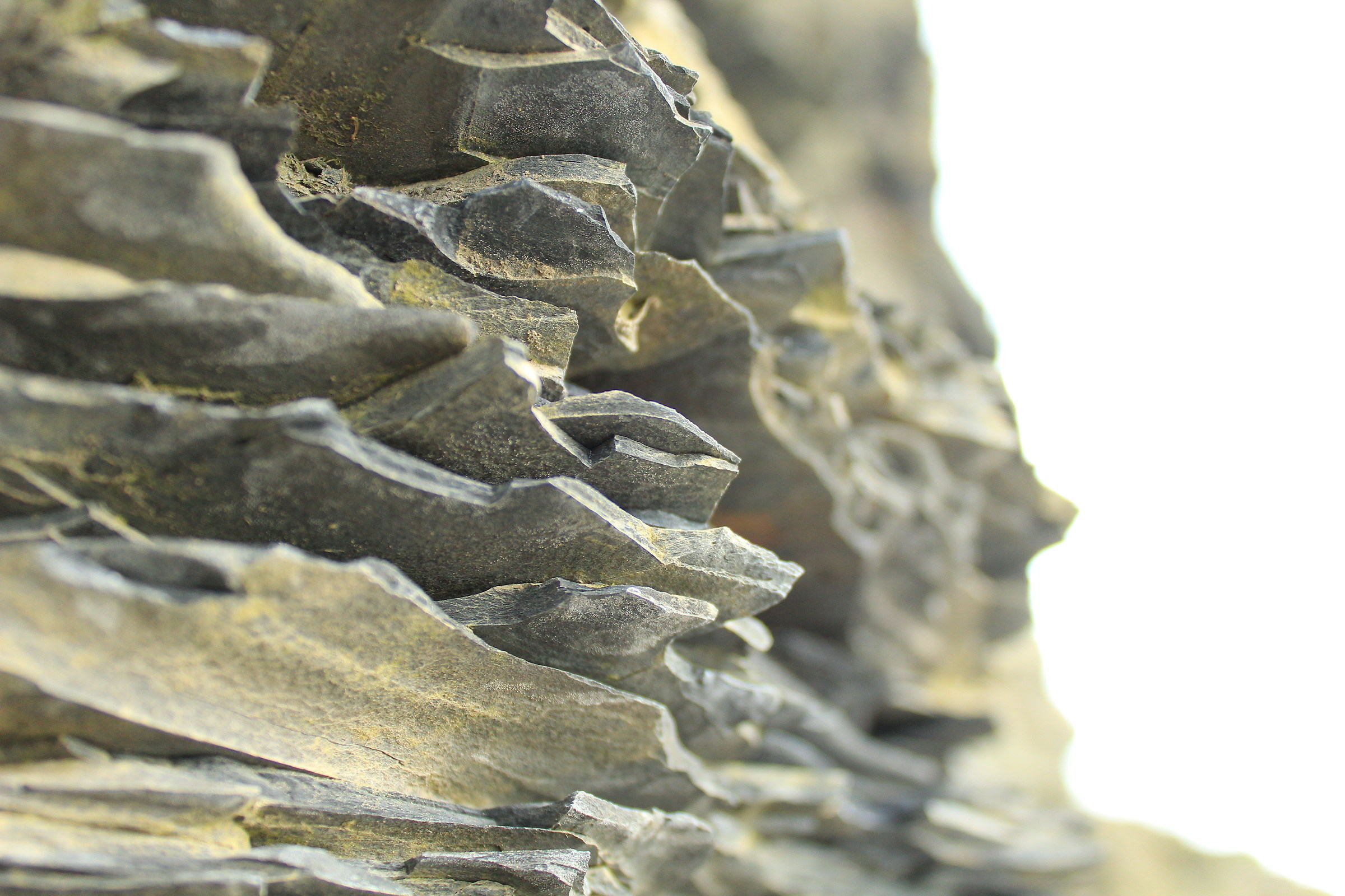 Cliffs of Moher cliff