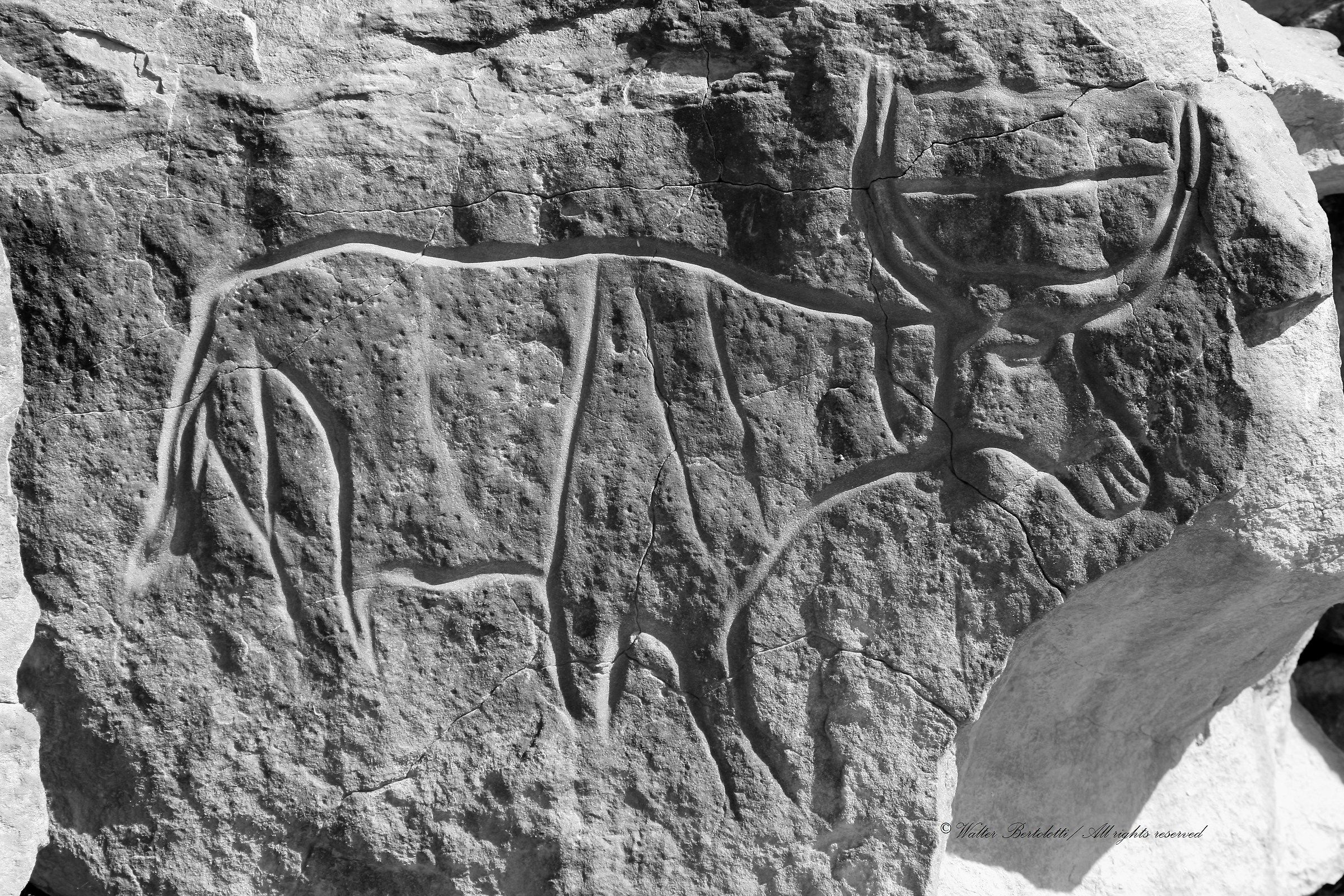 The history of the desert 2