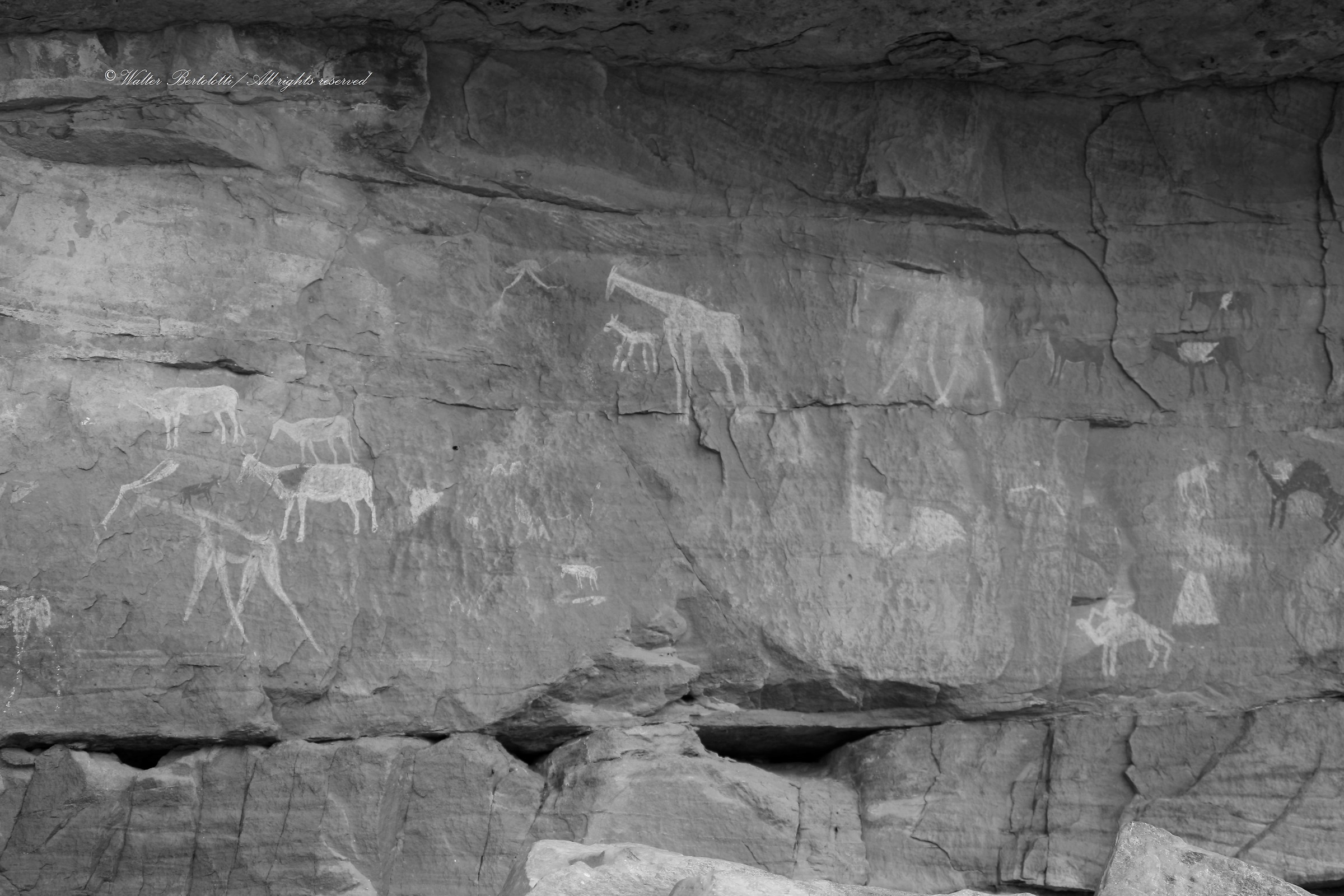 The history of the desert 3