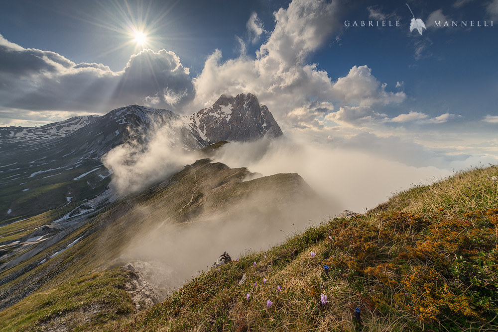 The curtain of nature