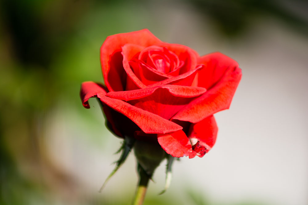 Beautiful, imperfect so beautiful