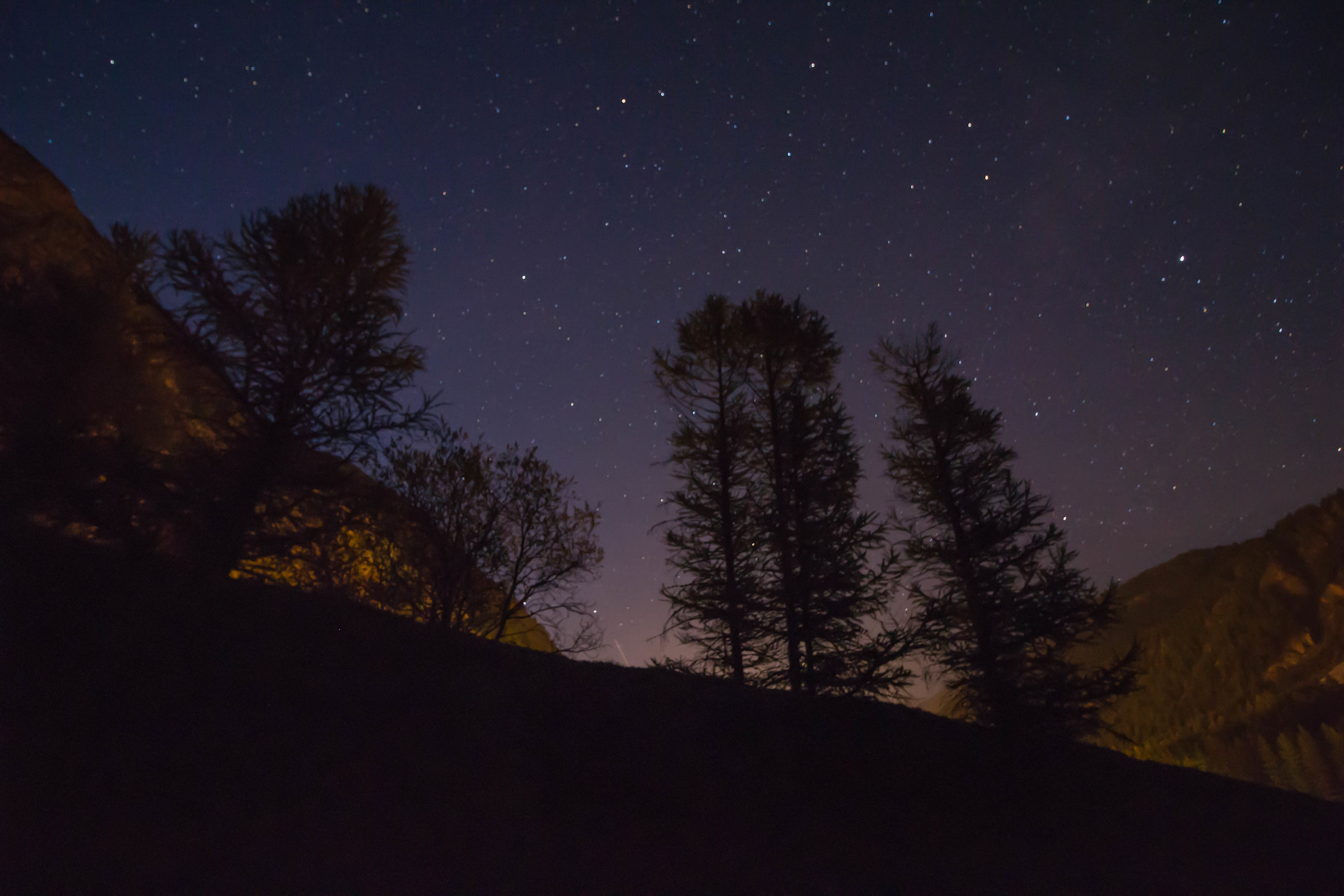 Night with silhouettes of trees