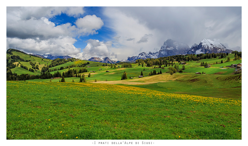 The meadows of the Alpe di Siusi