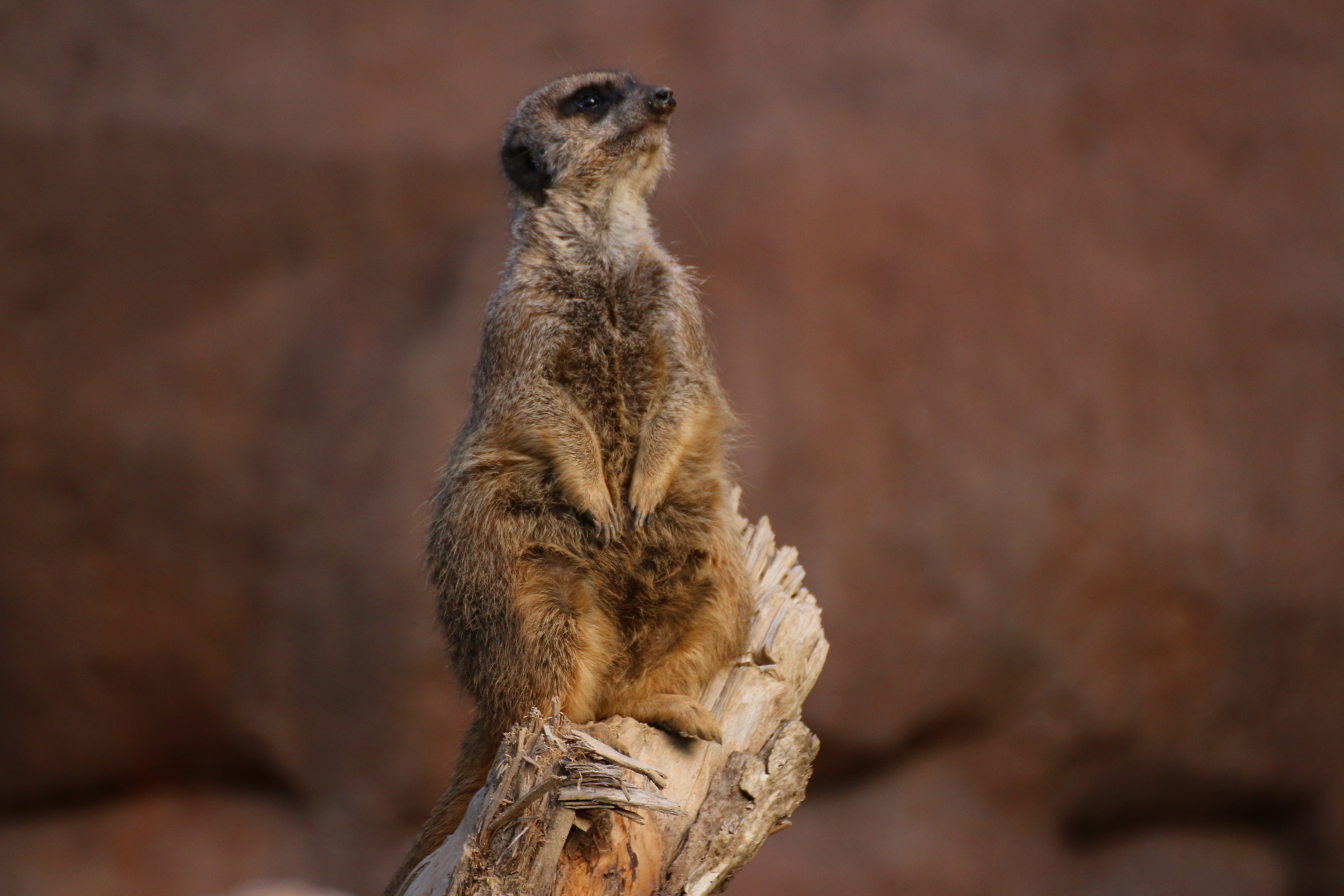 Is the profile okay ?!