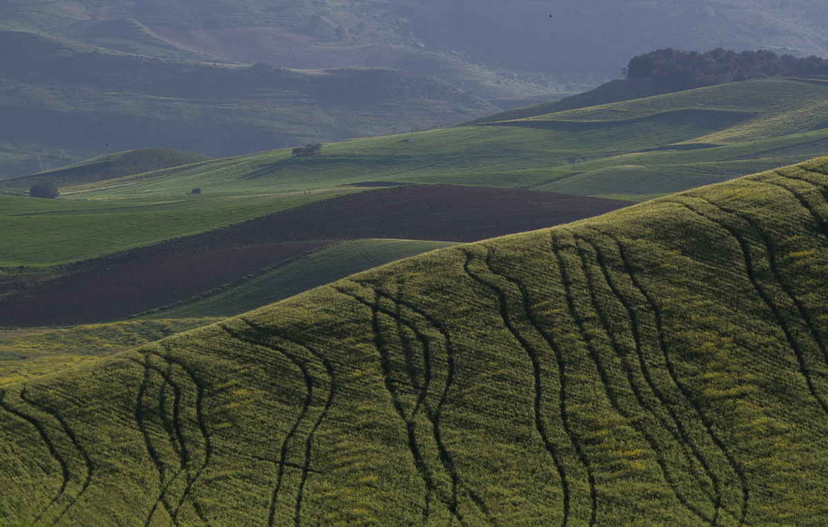 Terre in Sicilia.
