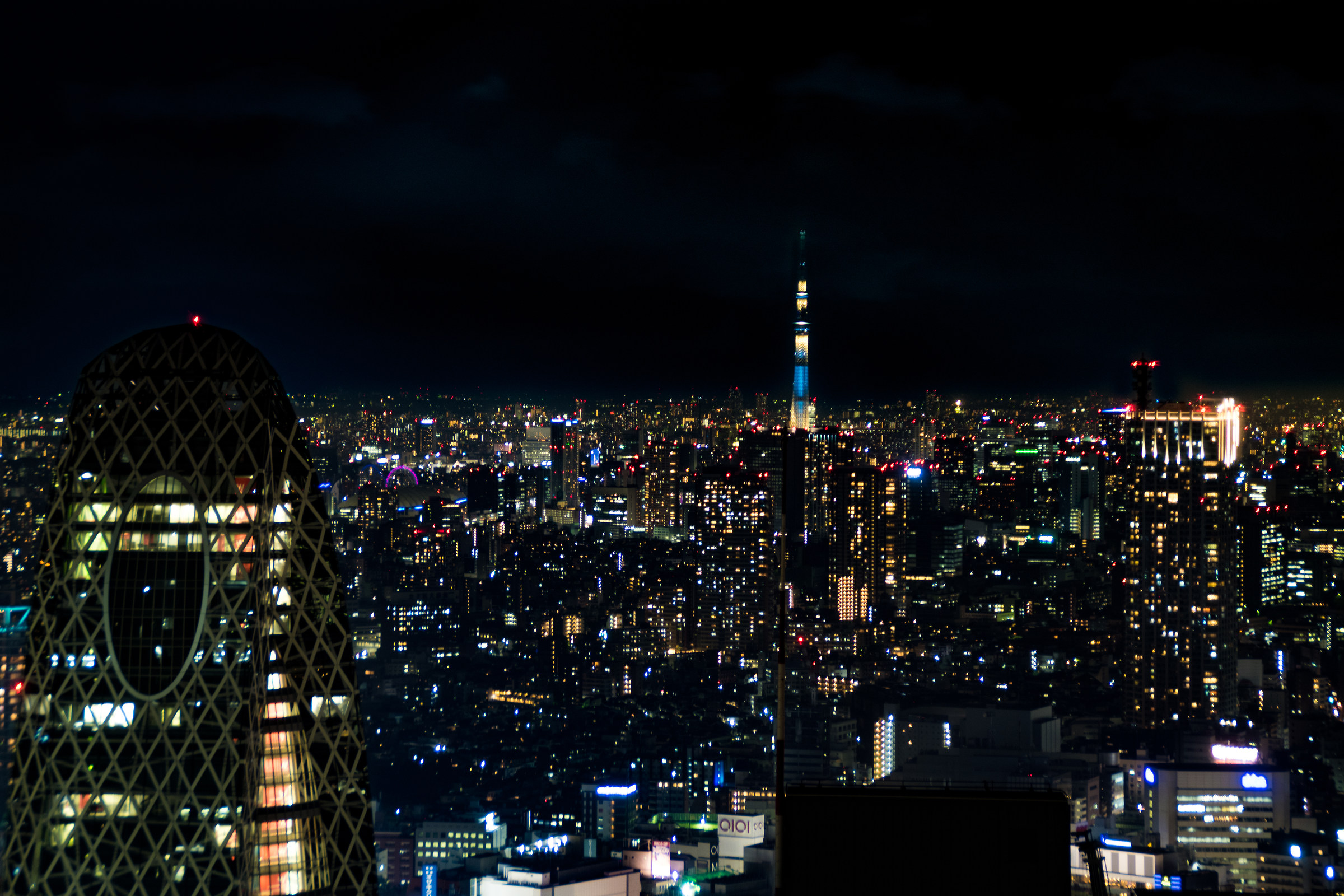 a night in shinjuku