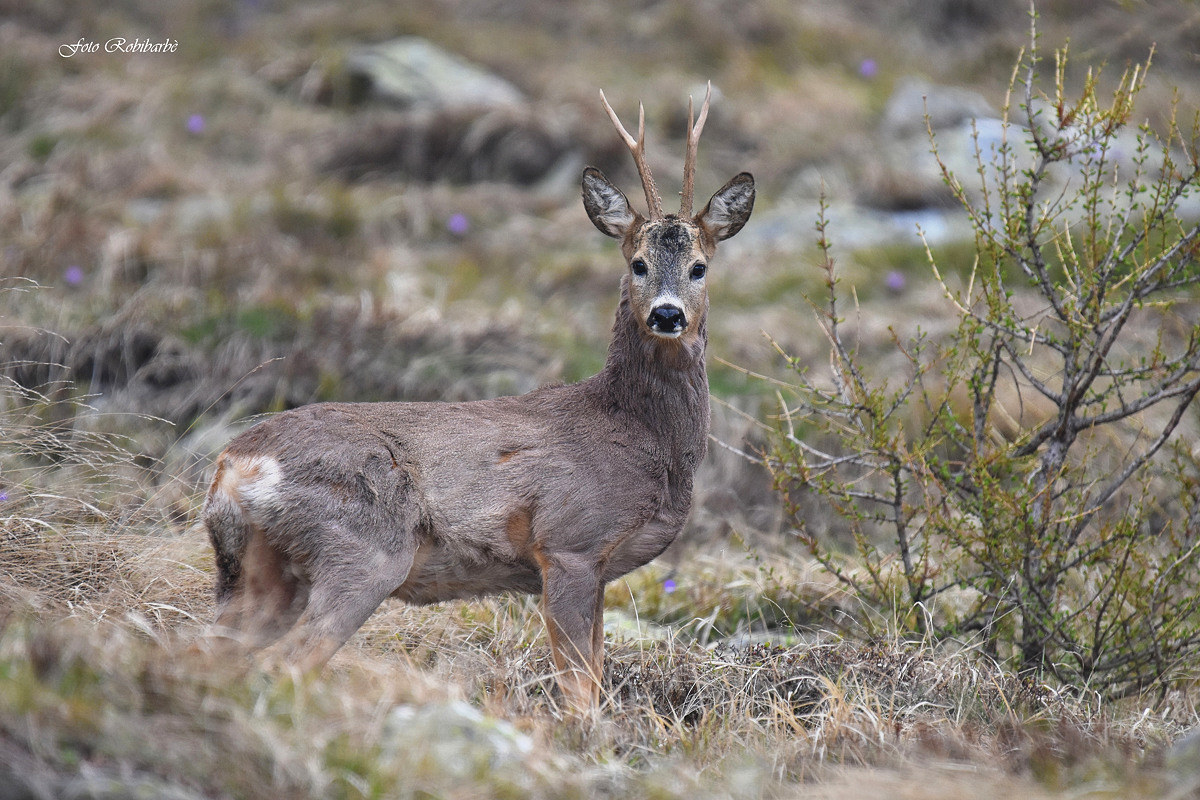 Cambio di stagione..