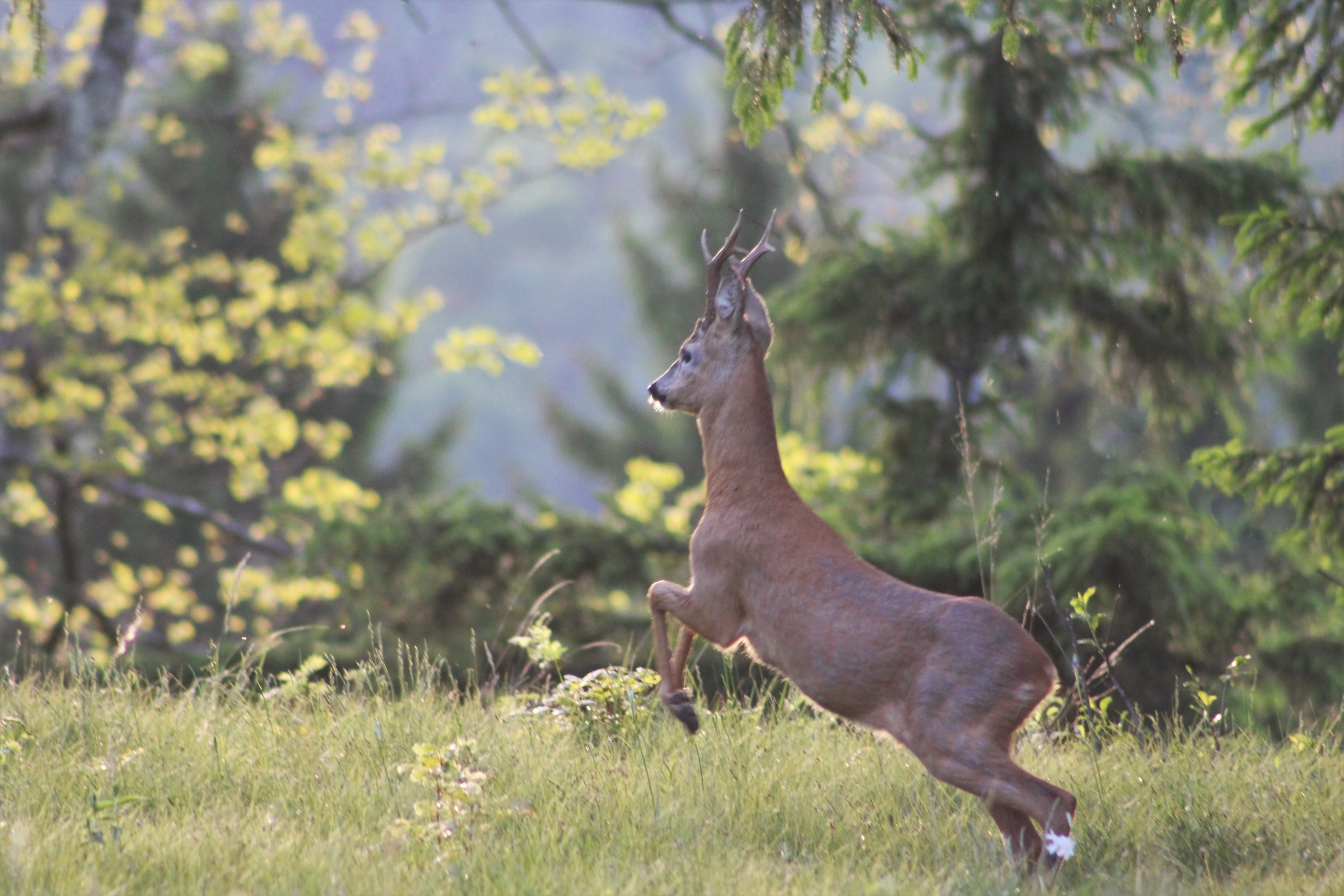 Un salto nel Tramonto