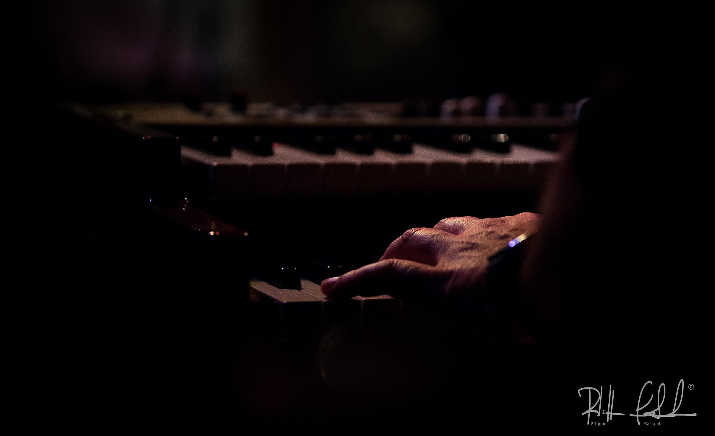 Patri Moovin Groovin