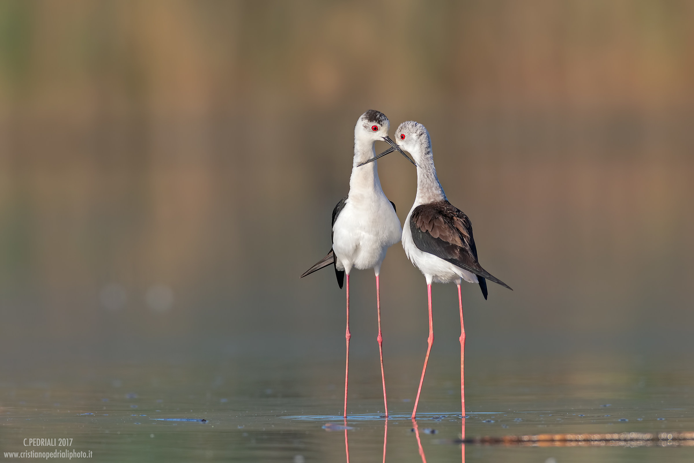 Just after the amplitude ...