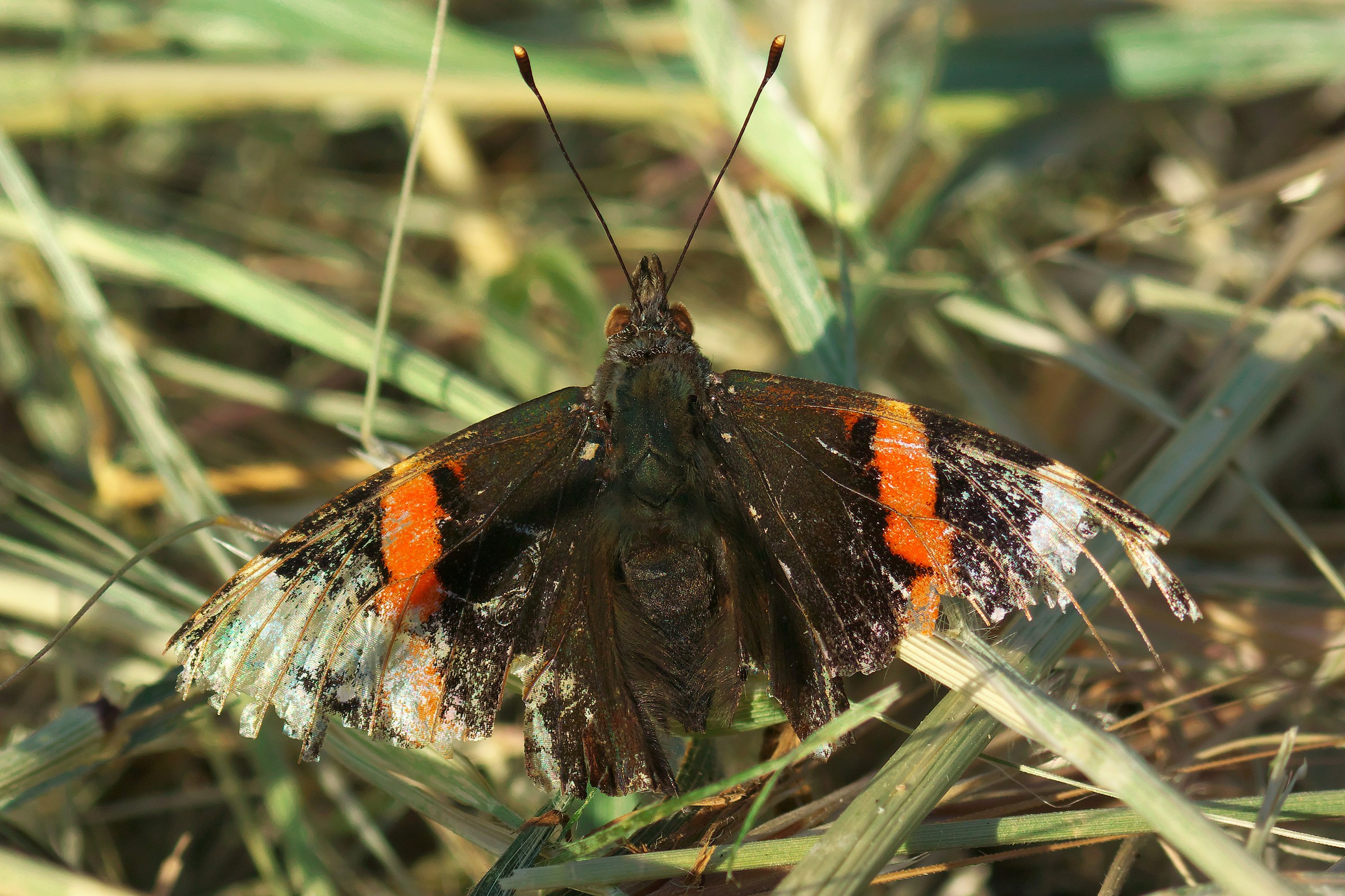 Houston ... we have a problem