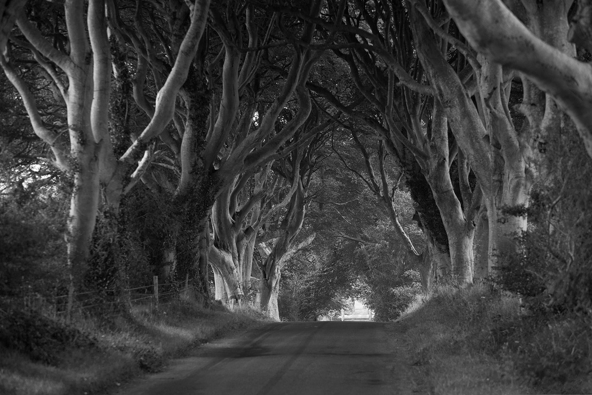 Welcome to the Tolkien's world