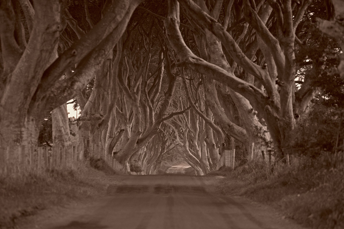 La porta verso la terra di mezzo....