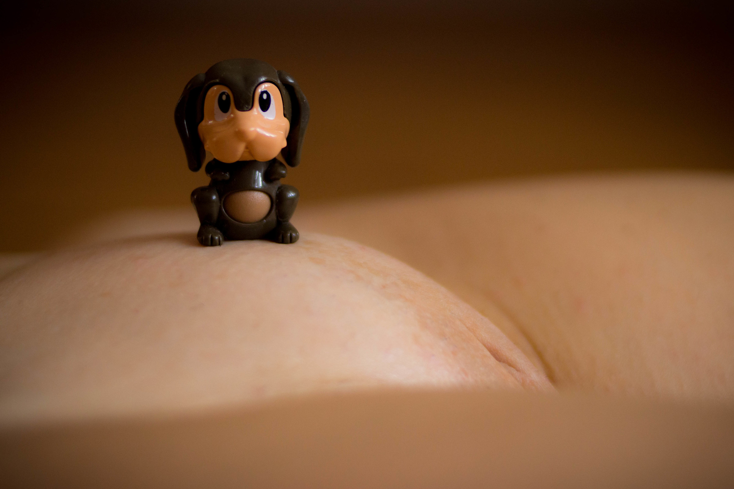 The best friend of man