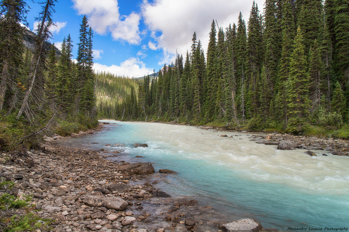 Yoho river
