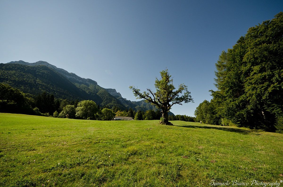 La Quercia in Val di Sella