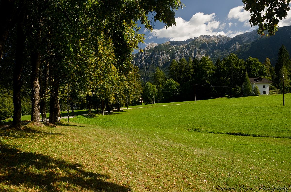 Peaks of the Asiago Plateau from Sella