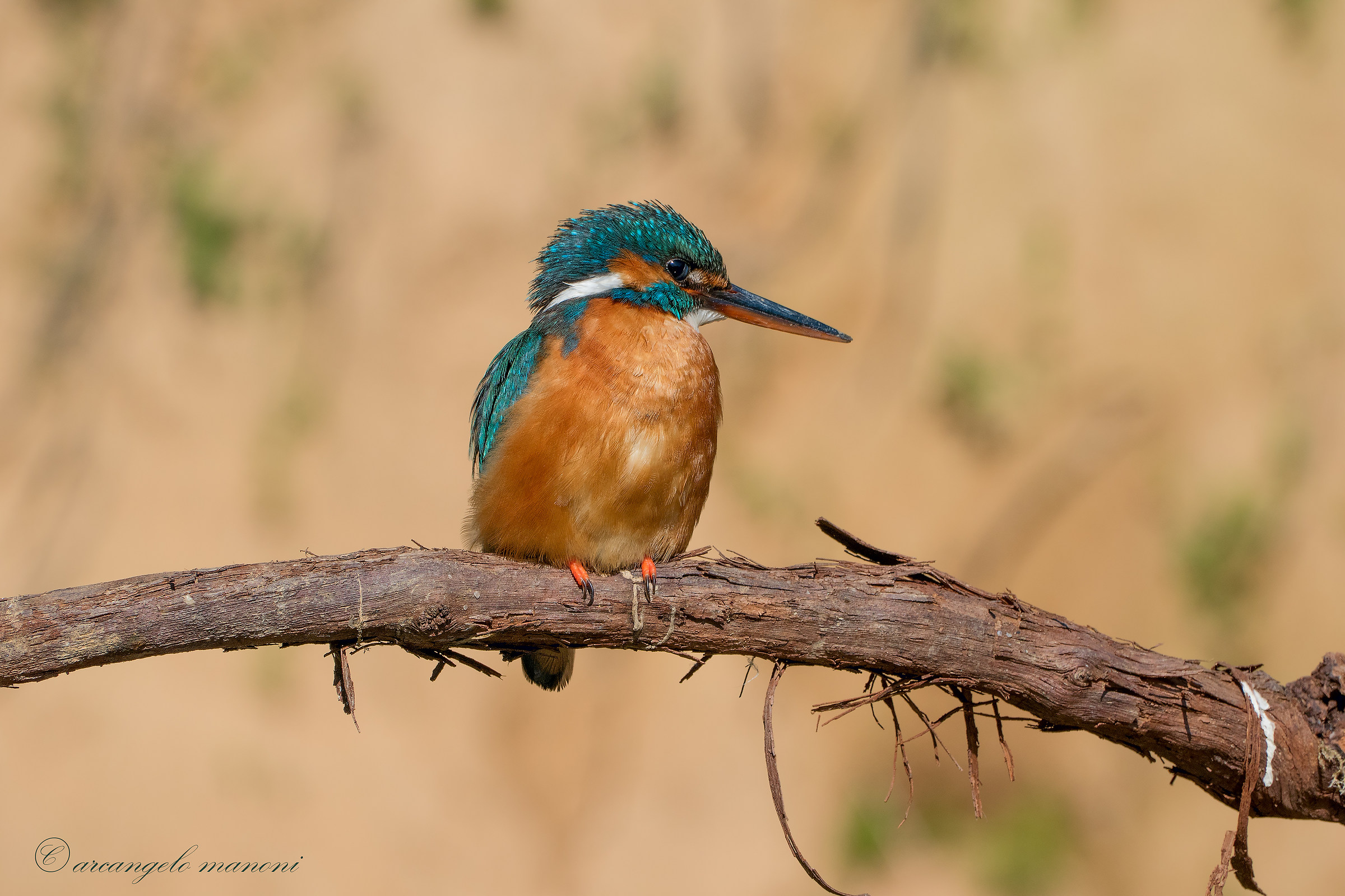 Still a blow to the heart