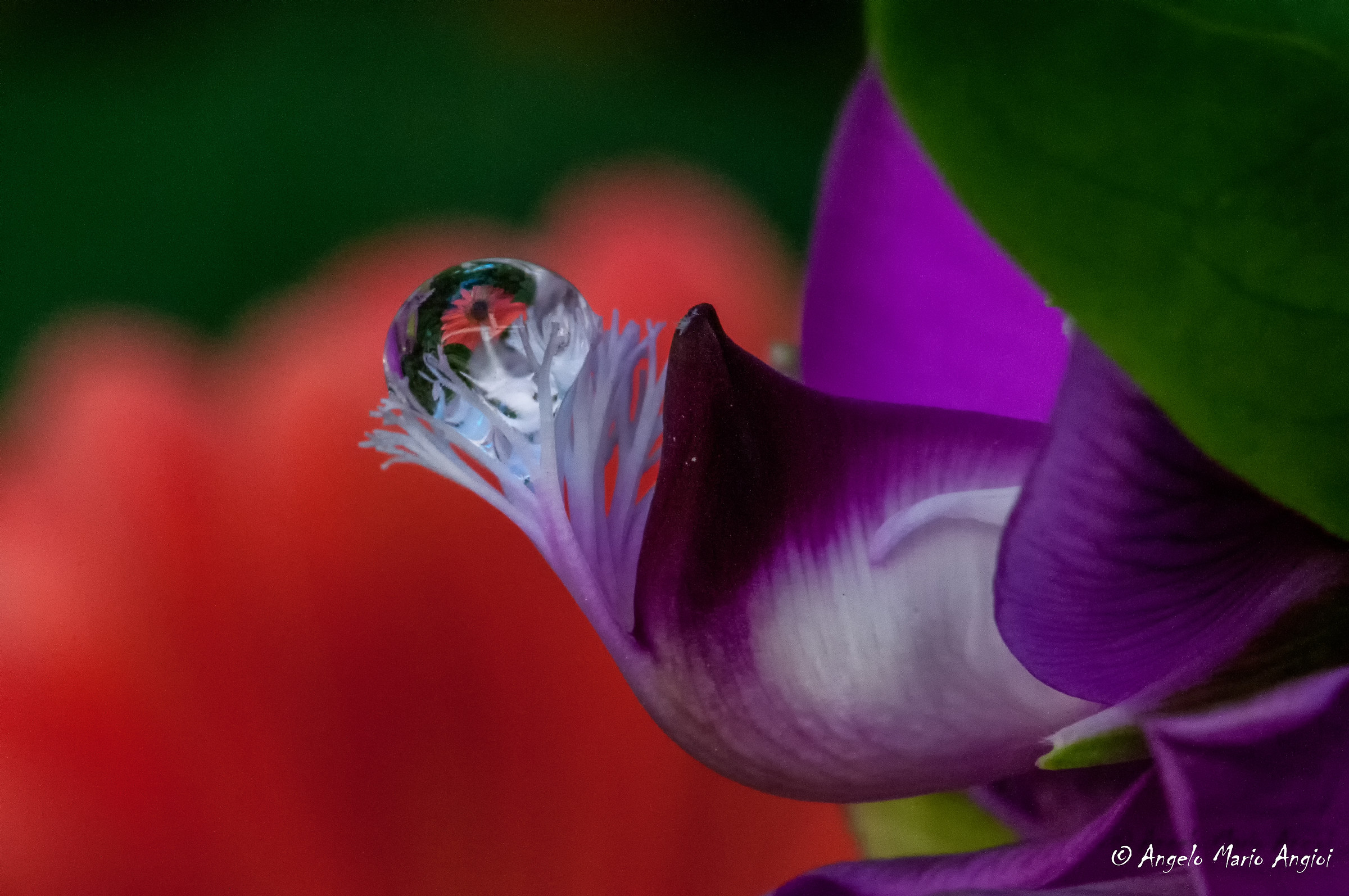 Drop "flower on Flower