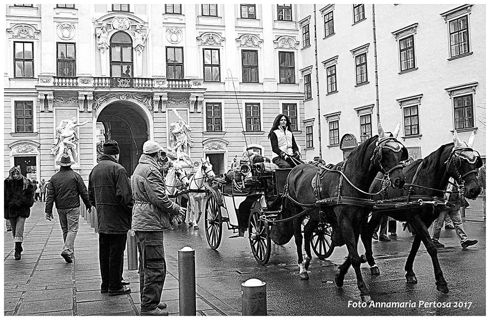 A Vienna in giro con il fiacre