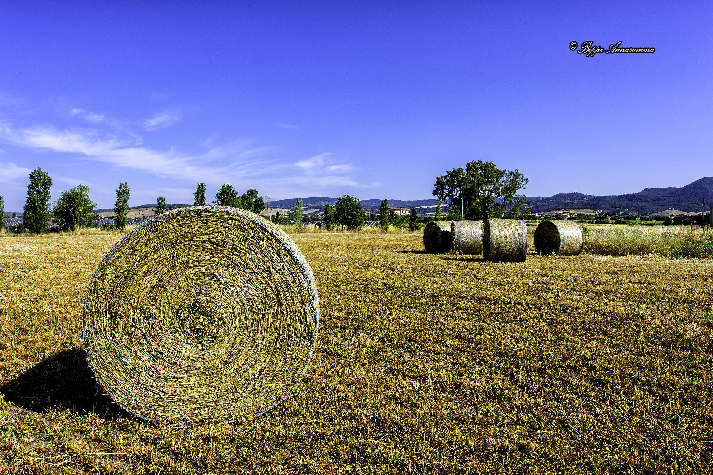 Rotola strada facendo rotola