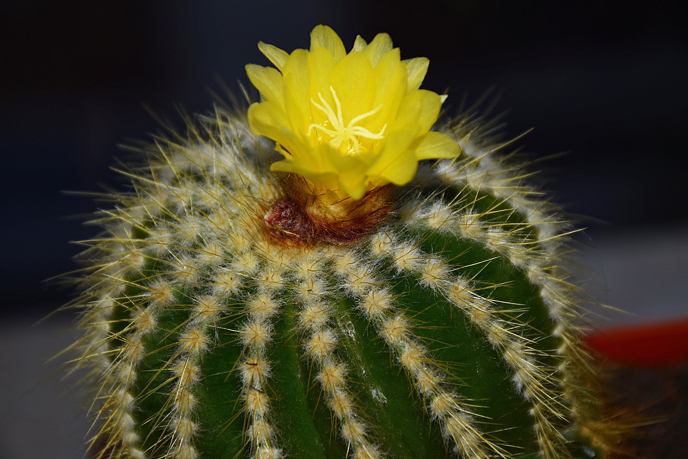 Il regalo di....un giorno