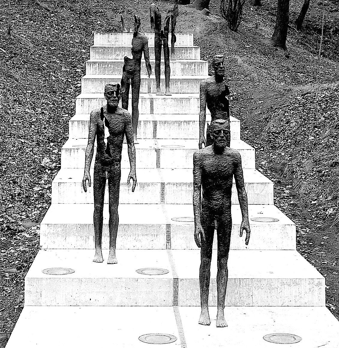 The Descent of Man ...