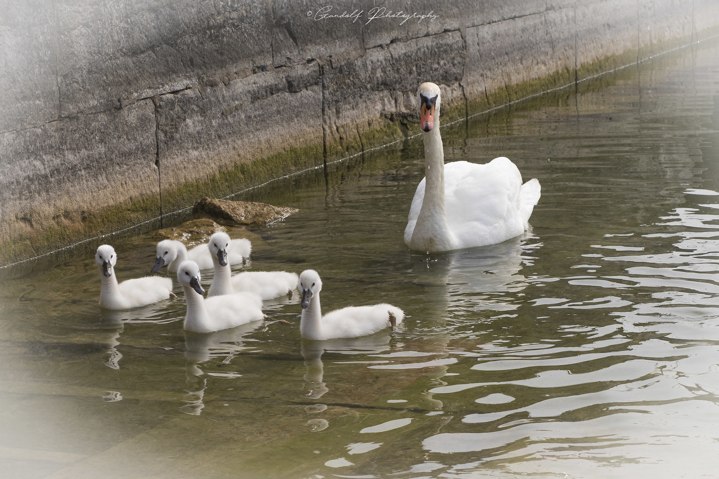 Walking with the little ones