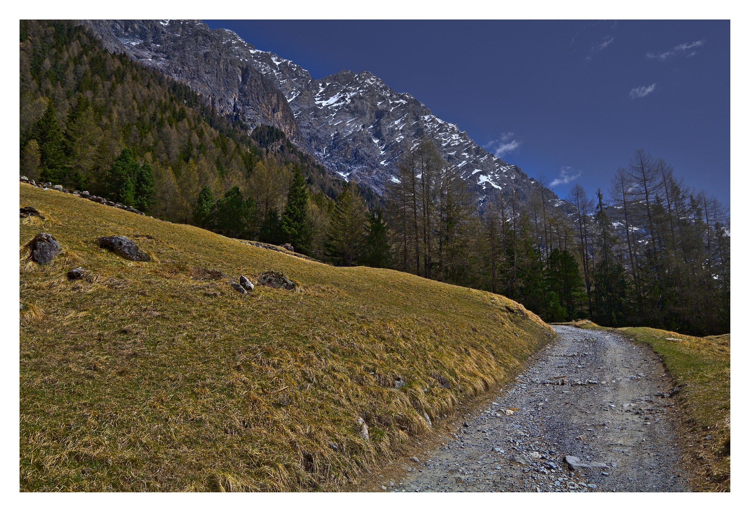 in giro per il Parco Nazionale dello Stelvio