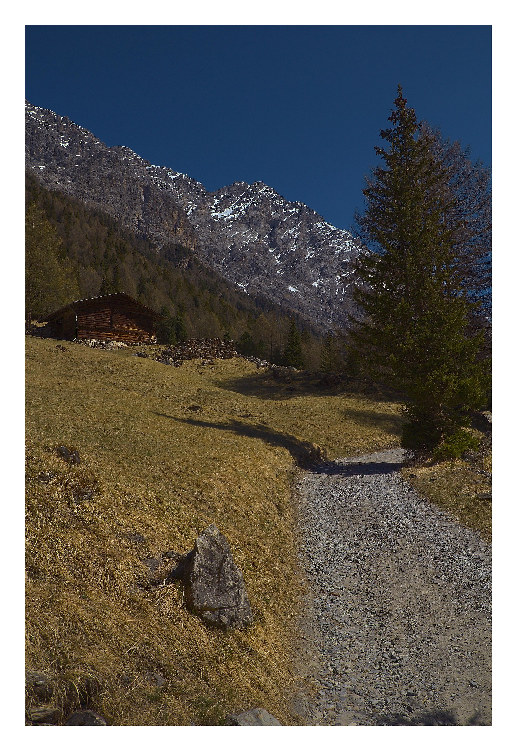 in giro per il Parco Nazionale dello Stelvio