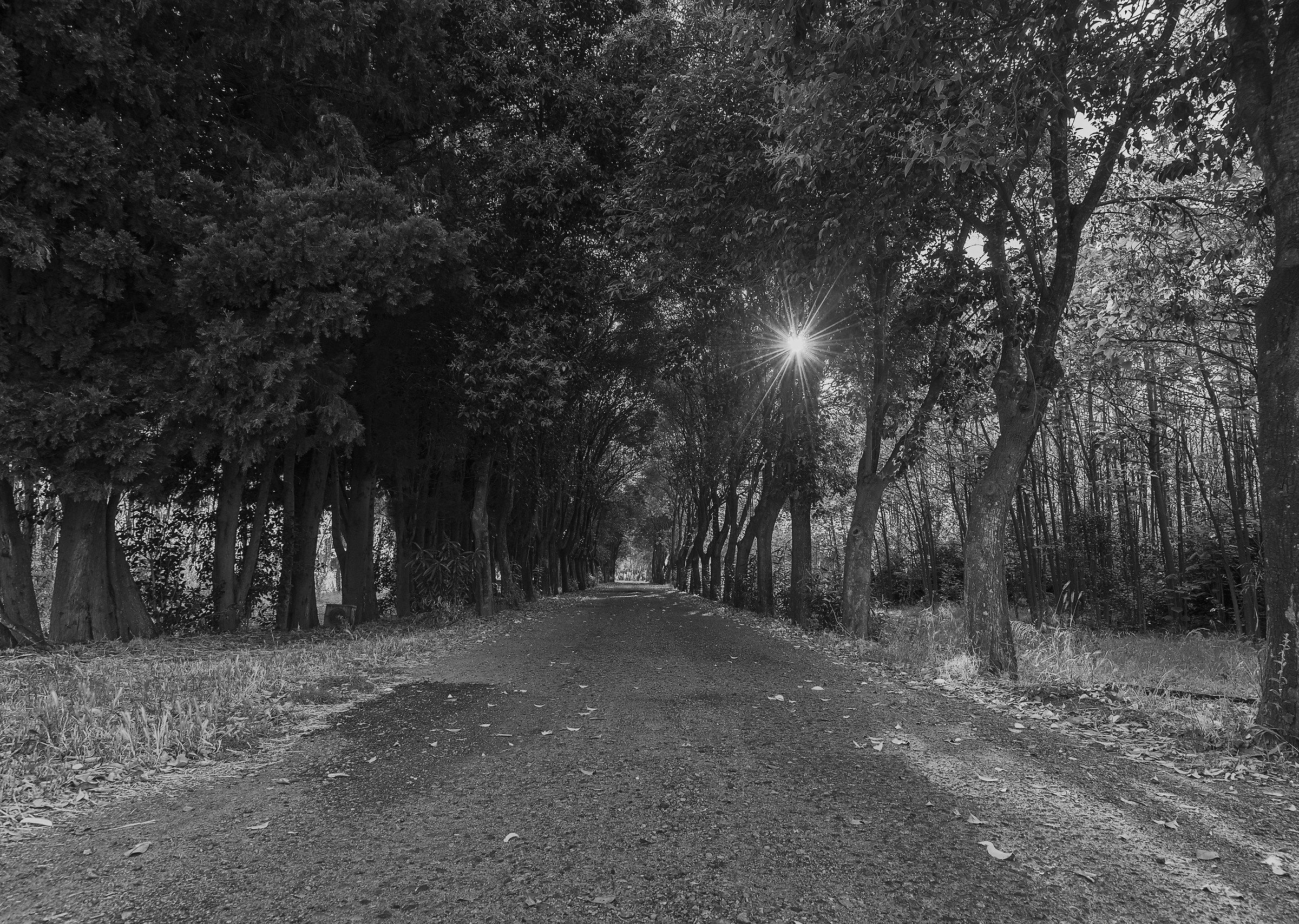 On the Sunset Boulevard!