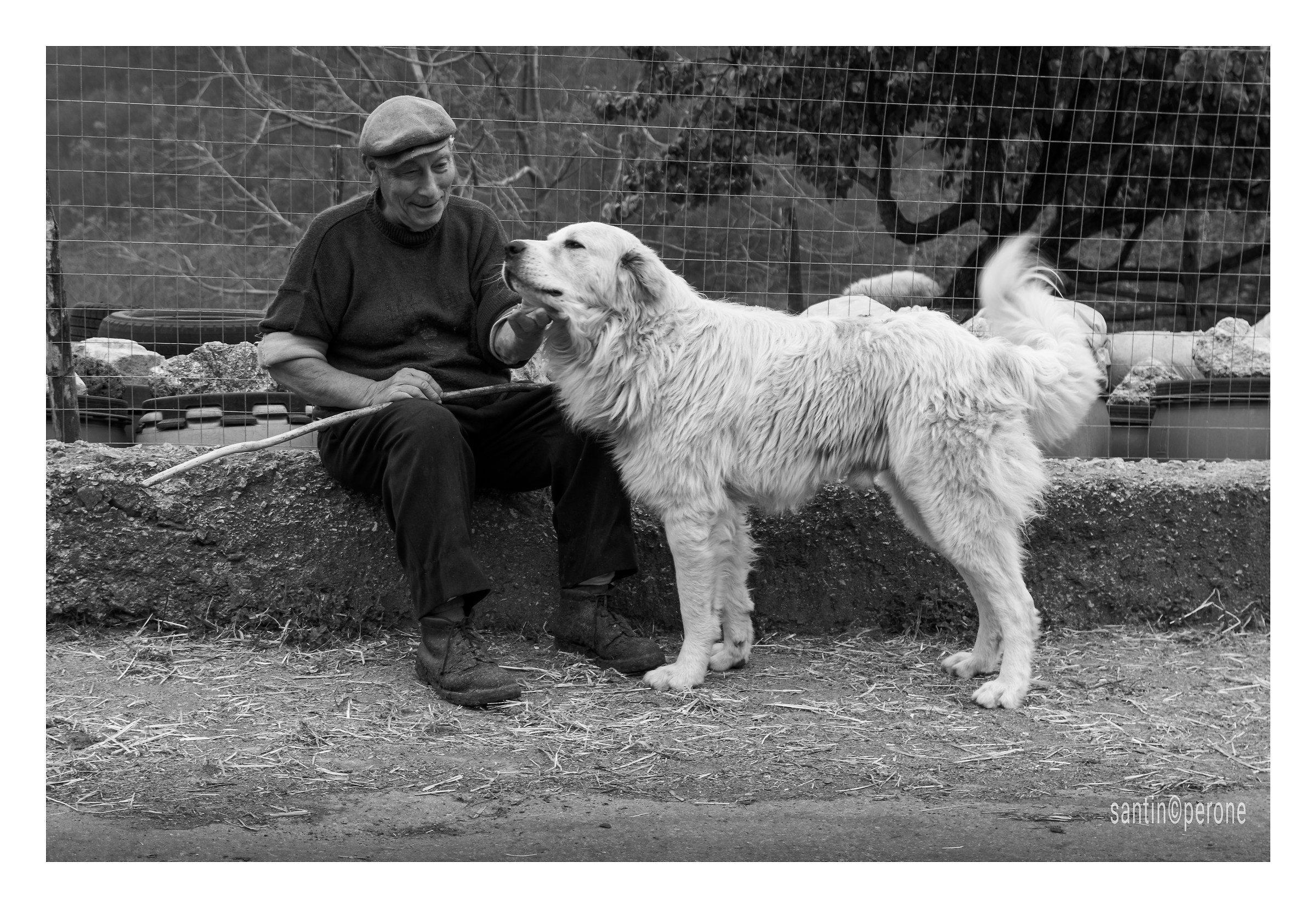 Colleghi per lavoro , amici per la pelle