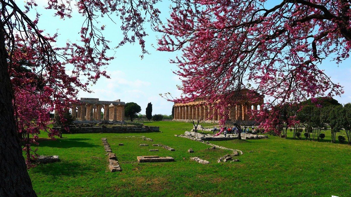 Paestum