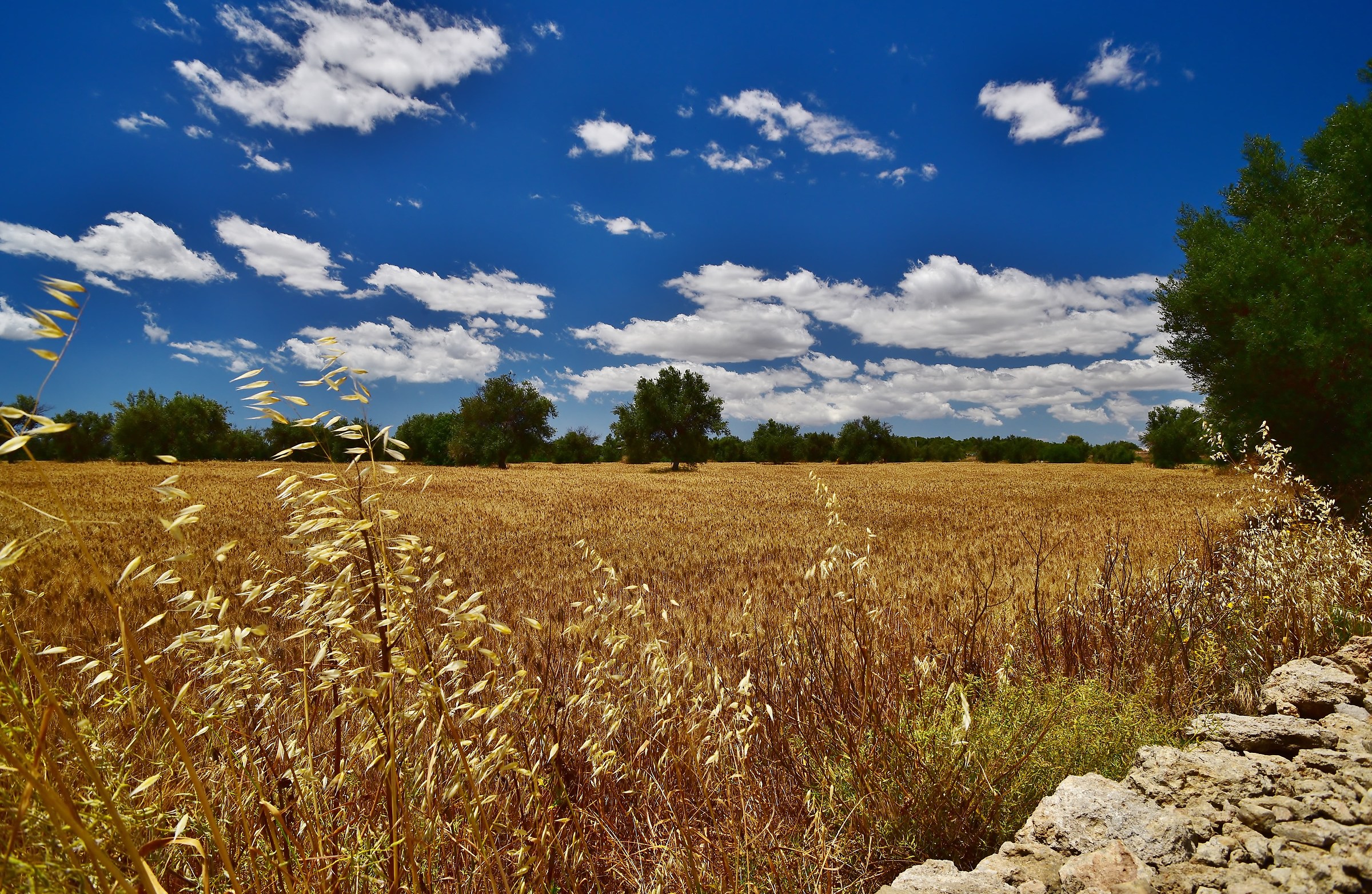 ... ahead of Vendicari Reserve