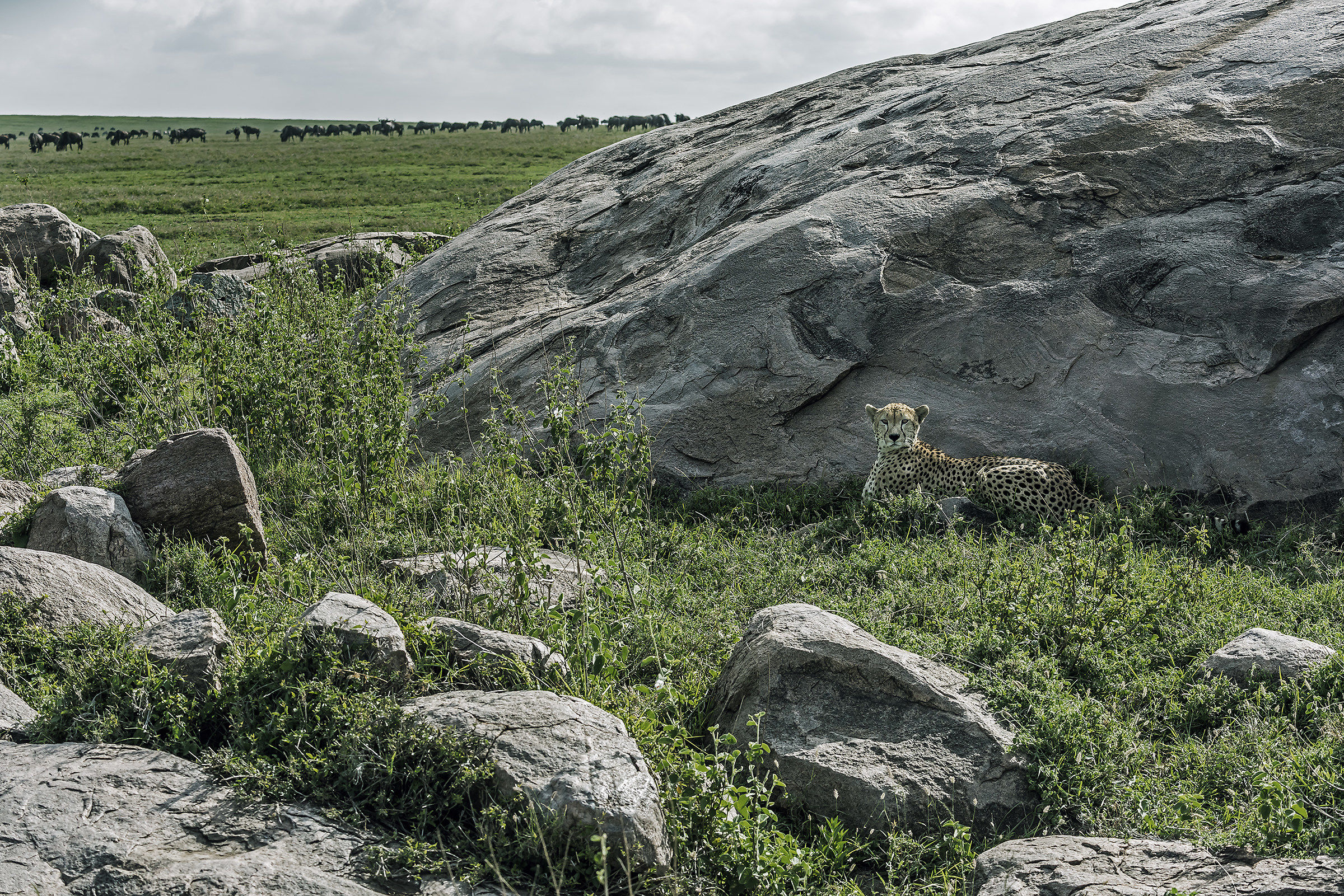 Tanzania 2017 - Tanato!!