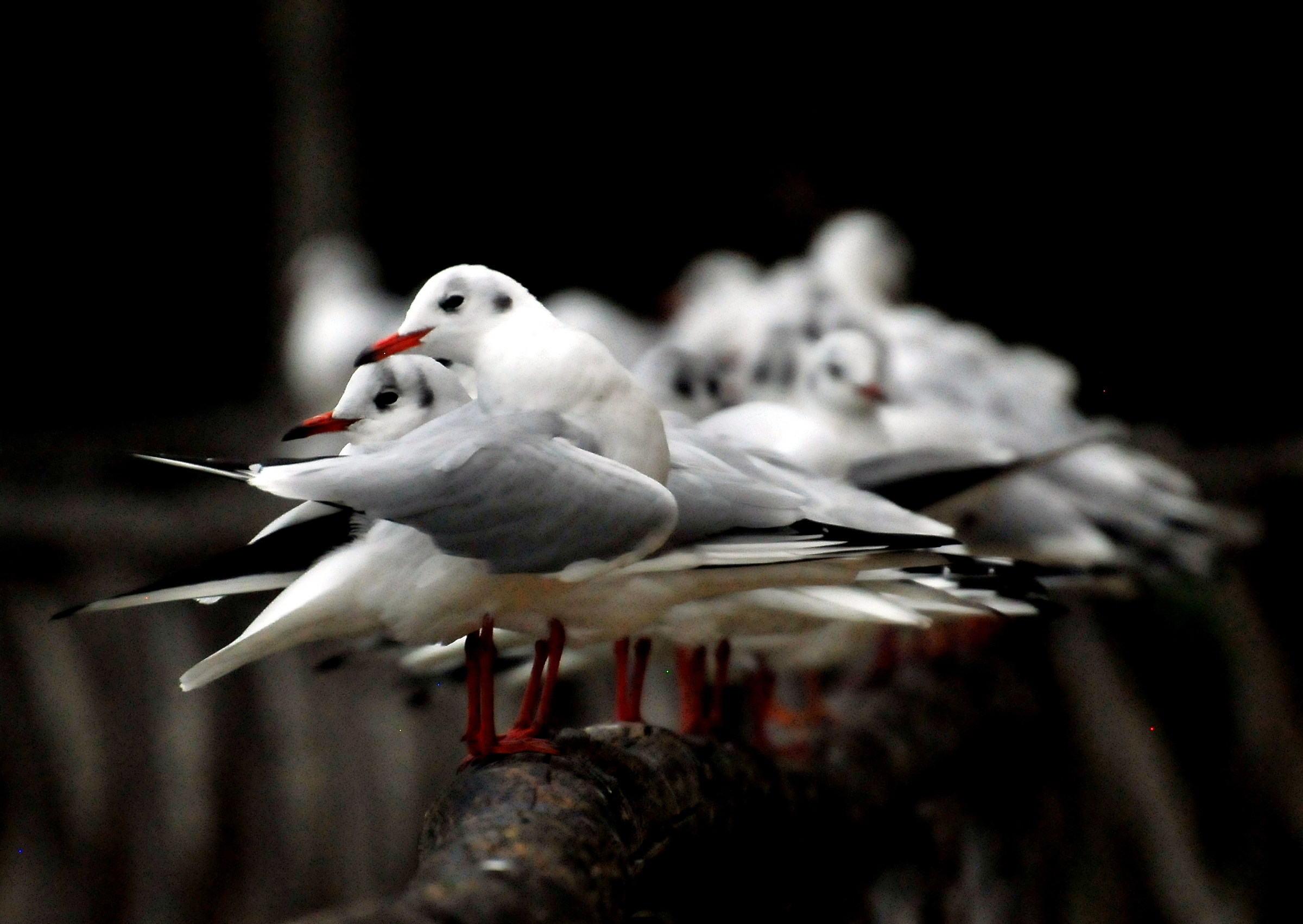 Non mi coprite, adesso tocca a me!