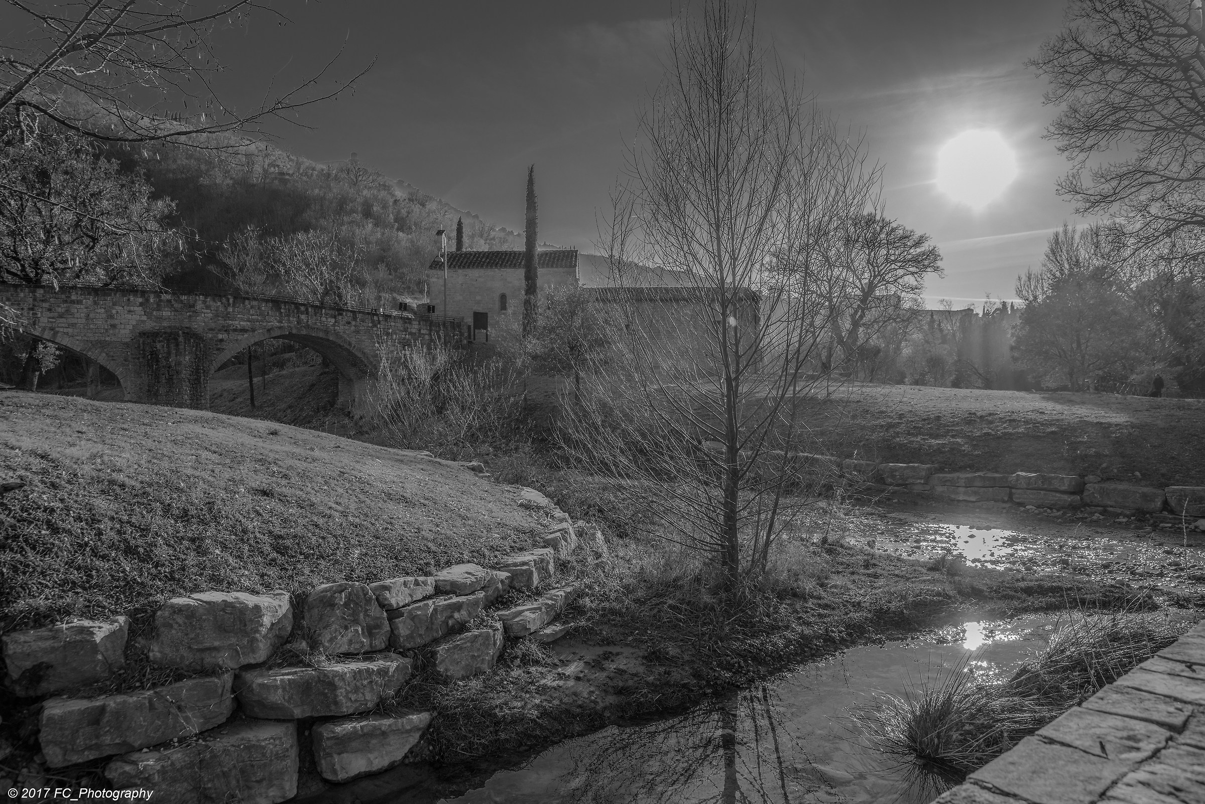 assisi -Bosco di San Francesco-