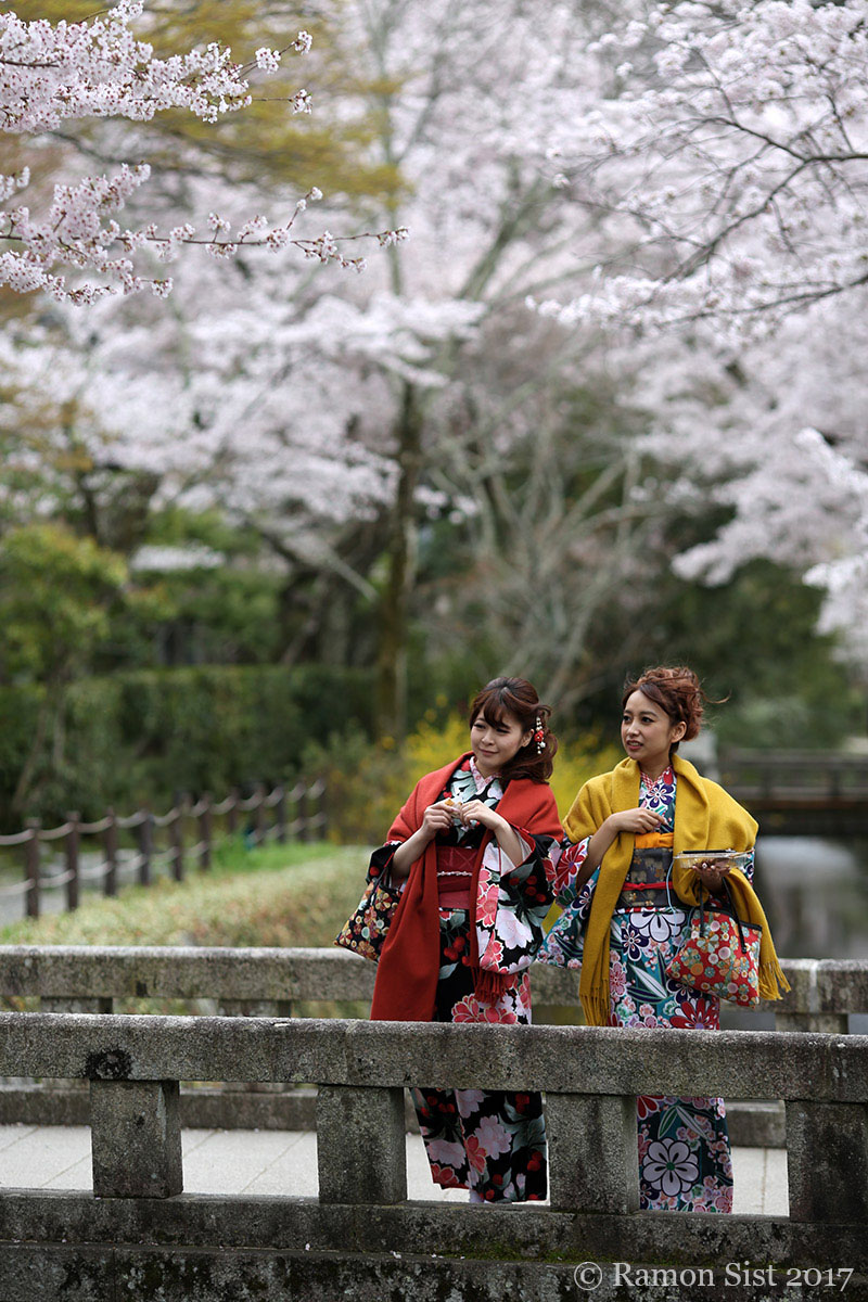 Japan, Kyoto, Walk Of The Philosopher