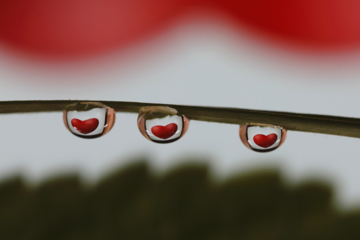 Cuori di goccia