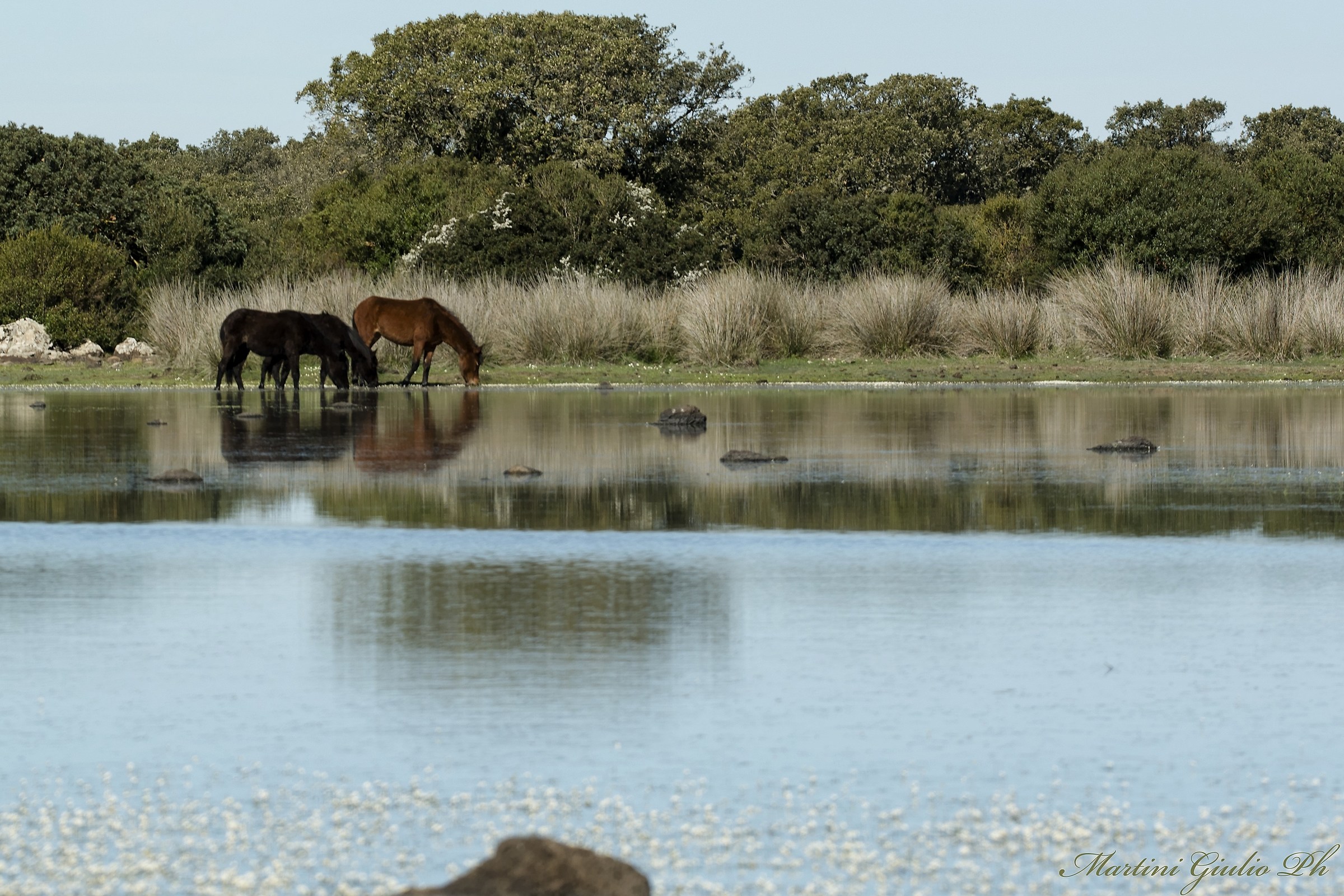 Altopiano giara di Gesturi