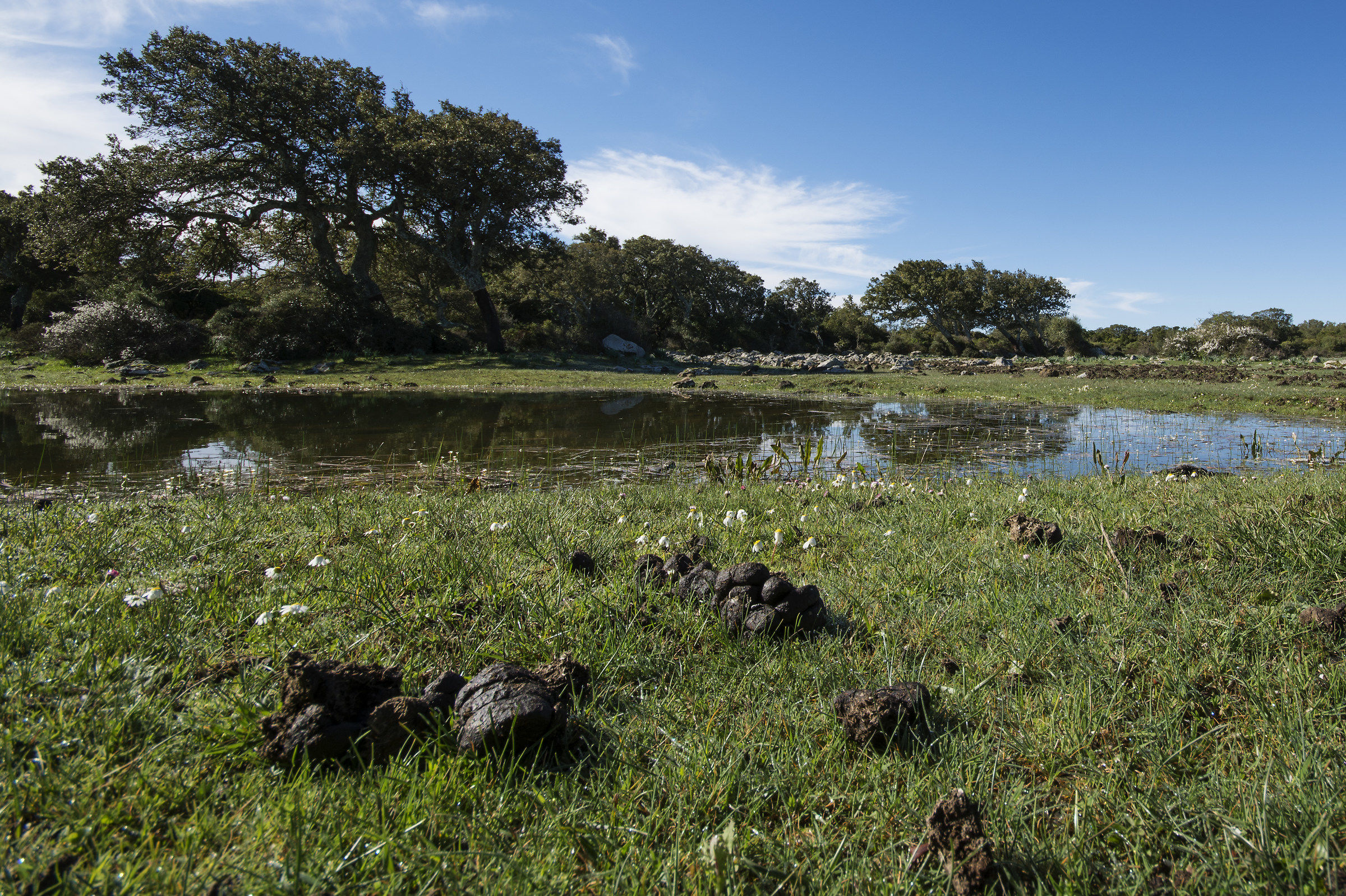 Altopiano giara di Gesturi