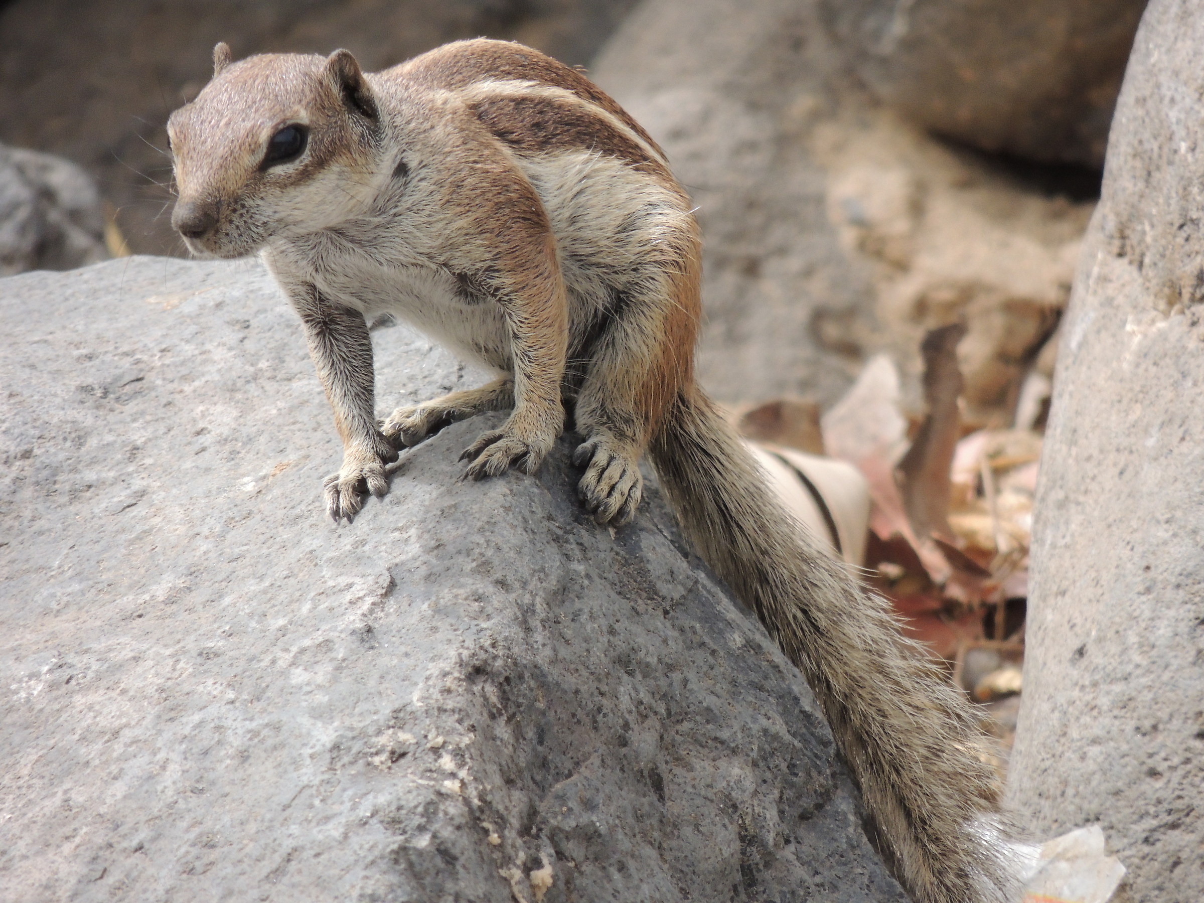 Incontri sulla spiaggia