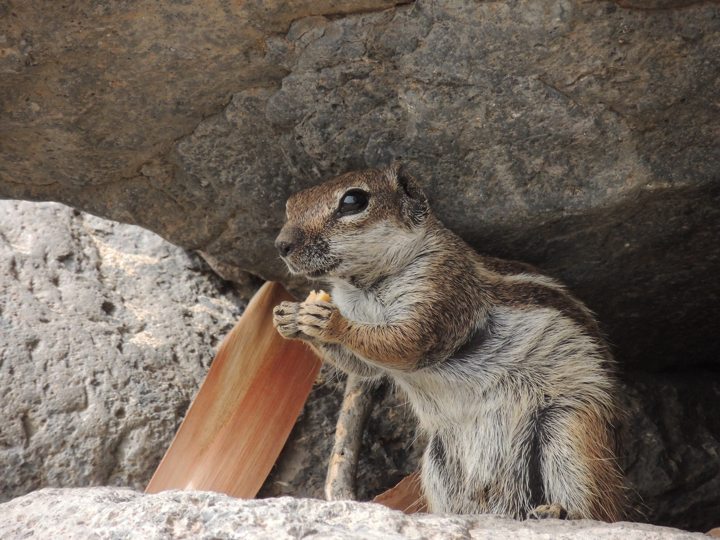 Incontri sulla spiaggia 3