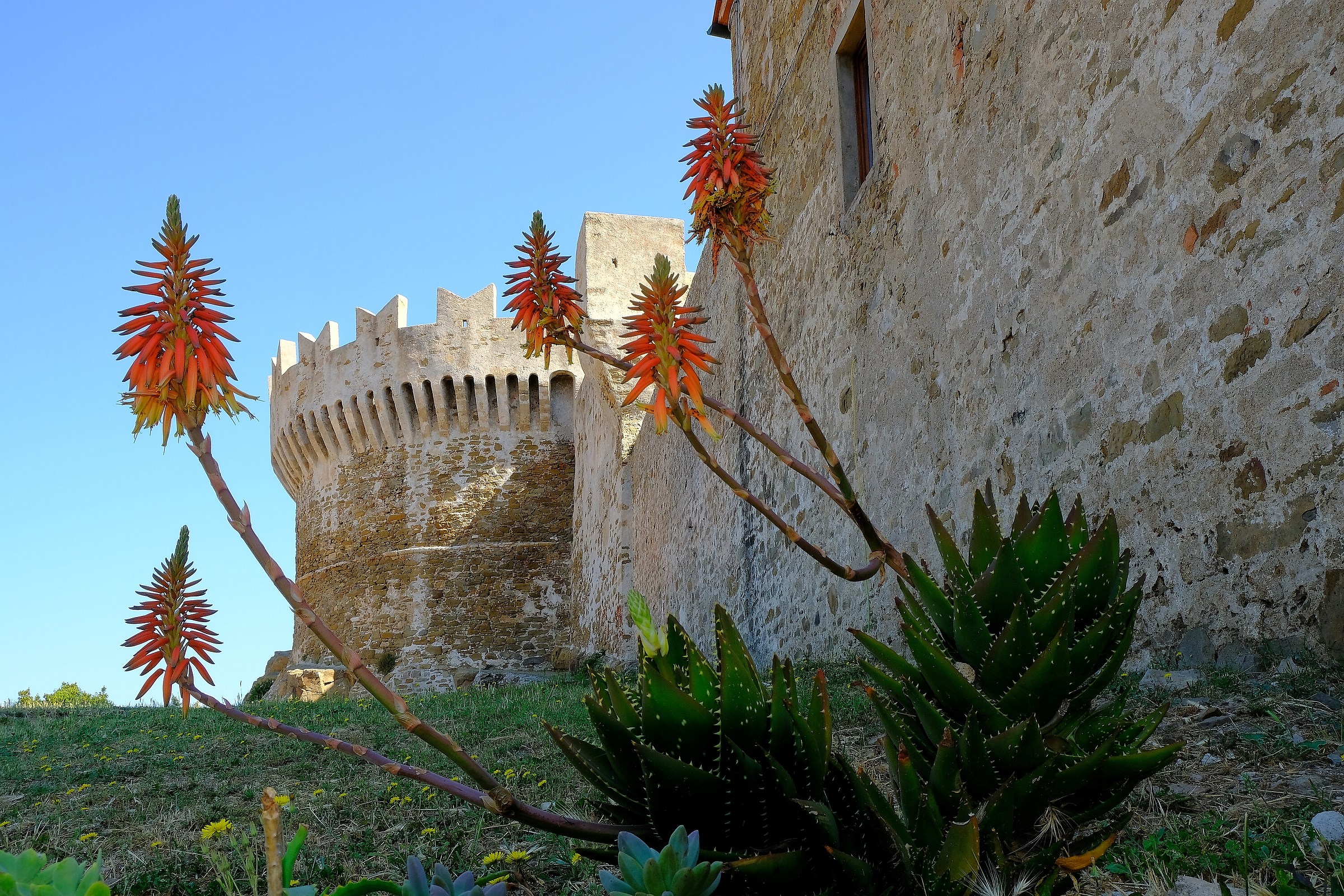 Populonia. The fortress