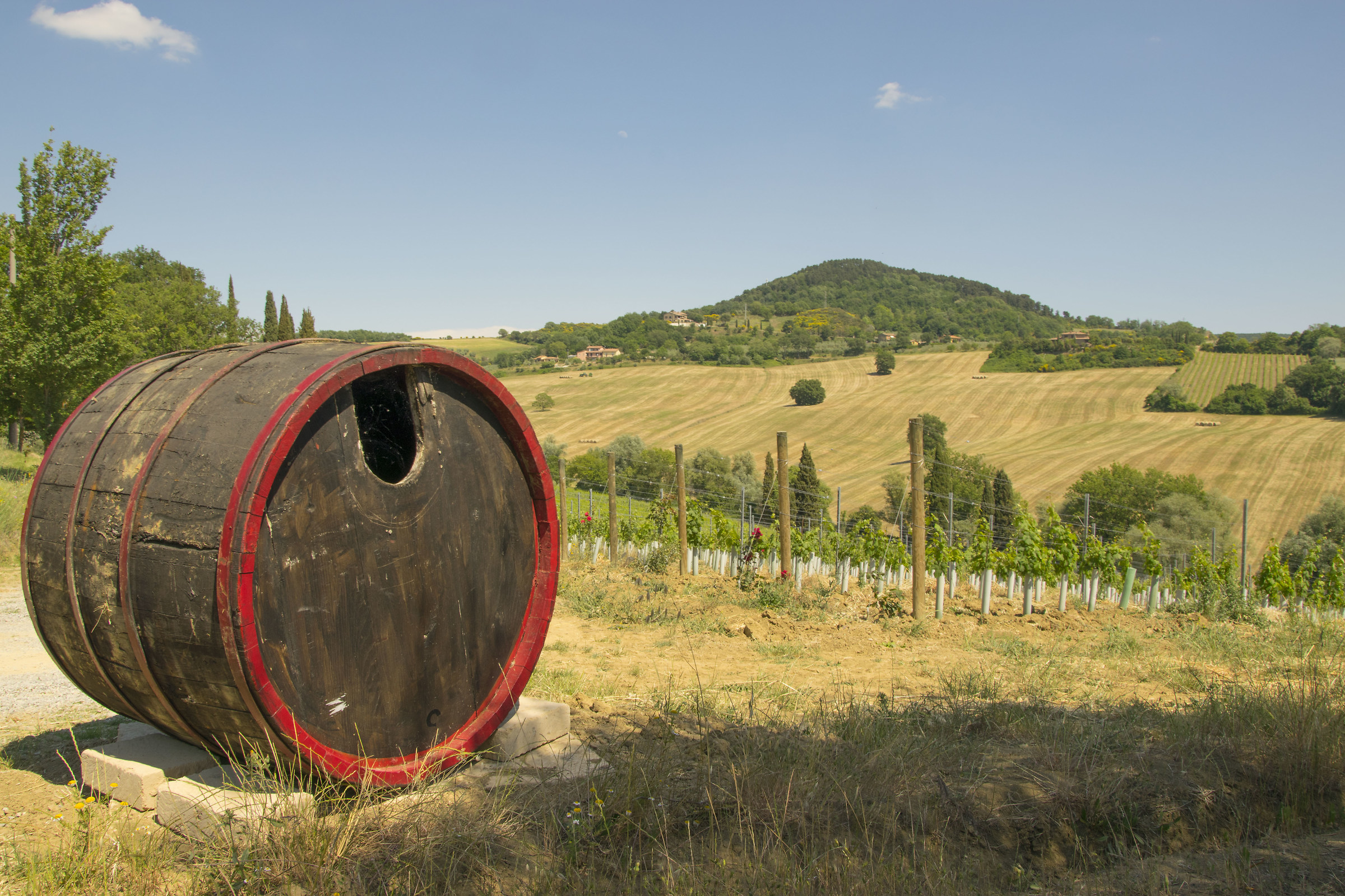 the beauty of nature