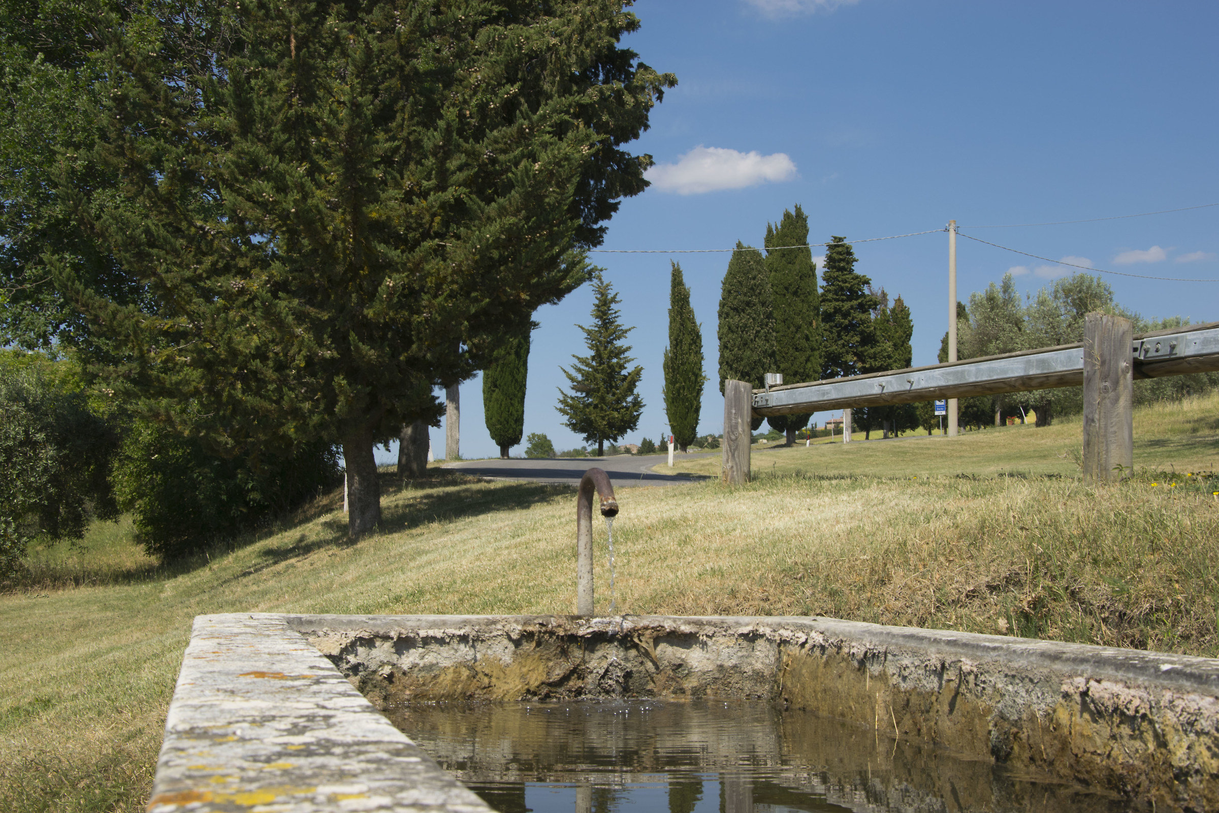 the beauty of nature