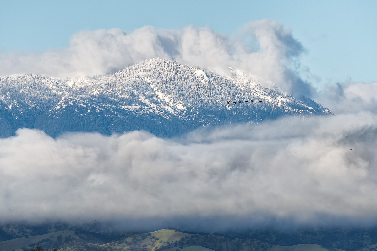 Il Viaggio, Sacramento Valley